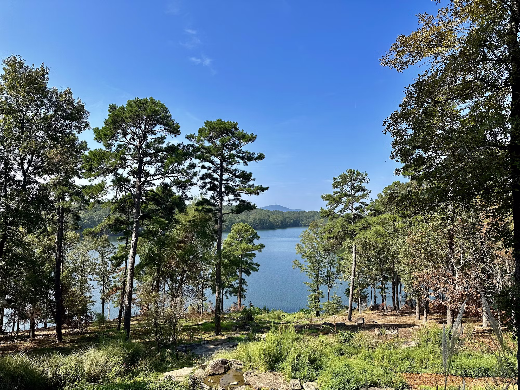 Vodnik za čuječa potovanja za začetnike: Raziskovanje sveta z namenom