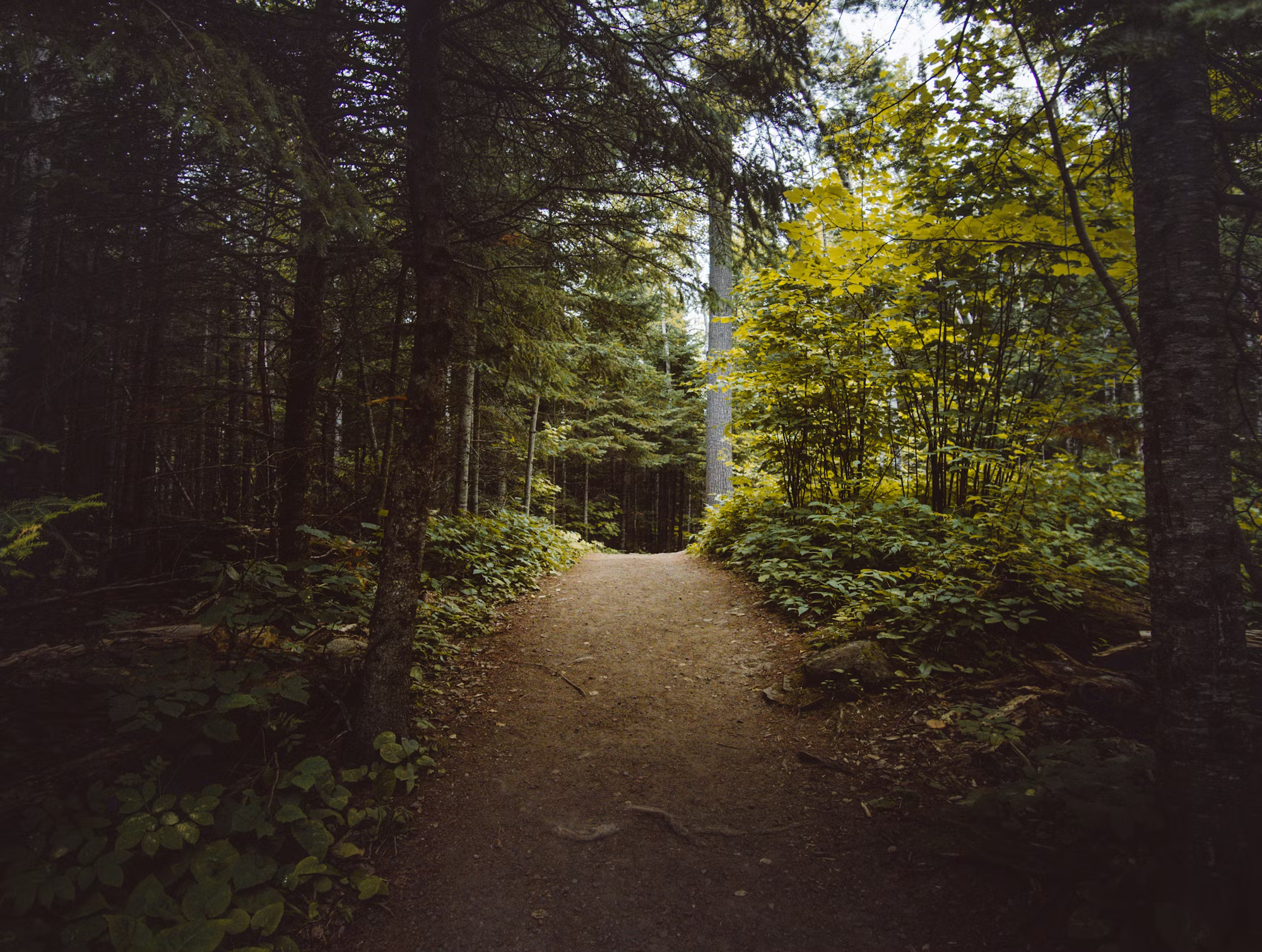 Raziskovanje sveta trajnostne mode: Pot do zavestnega potrošništva