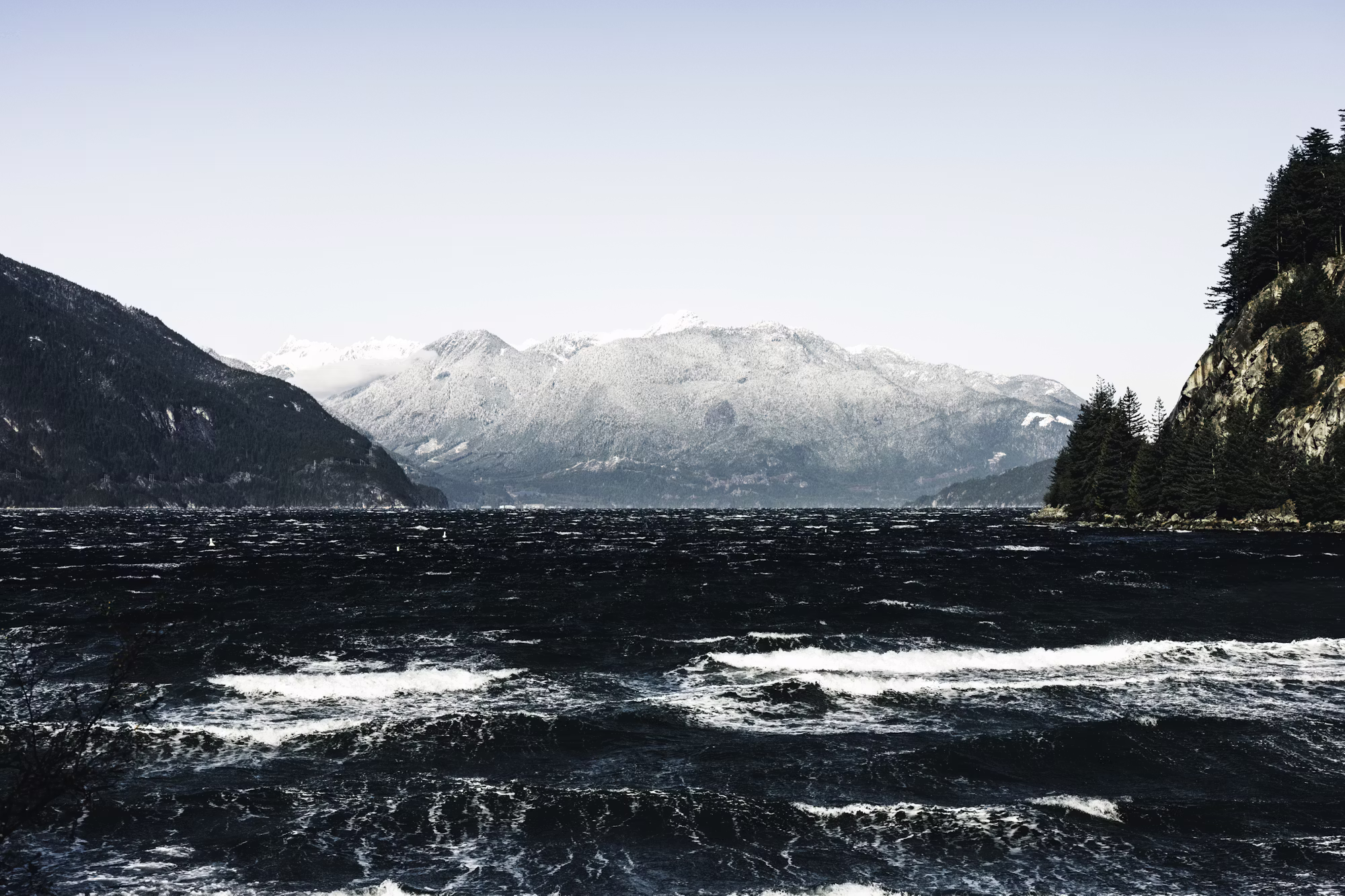 Veselje do narave:  kultura koristi in nasveti za življenje na prostem